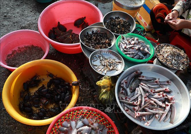 Phong phú sản vật được bày bán ở các khu chợ. Ảnh: Duy Khương - TTXVN Hậu Giang mùa nước nổi ảnh 10