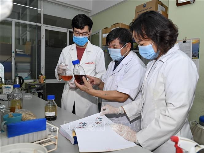 PGS.TS.Nghiên cứu viên cao cấp Lê Quang Huấn (giữa) và các cộng sự nghiên cứu thuốc điều trị Covid-19 từ việc kết hợp thông tin từ Y văn cùng với các công bố quốc tế mới nhất để sàng lọc, lựa chọn các dược chất có hoạt tính sinh dược cao từ nhiều loại thảo dược quý của Việt Nam nhằm tạo sản phẩm có hiệu quả trong điều trị bệnh do virus. Ảnh: TTXVN Công bố kết quả nghiên cứu tiền lâm sàng thuốc điều trị COVID-19 bằng thảo dược Việt Nam ảnh 1