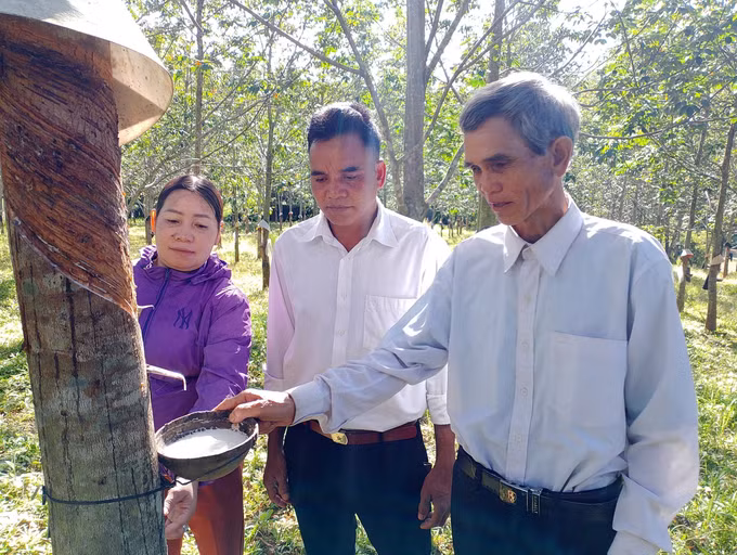 Già làng A Hùng - “Cánh tay nối dài” của chính quyền trong thực hiện chính sách dân tộc ảnh 1