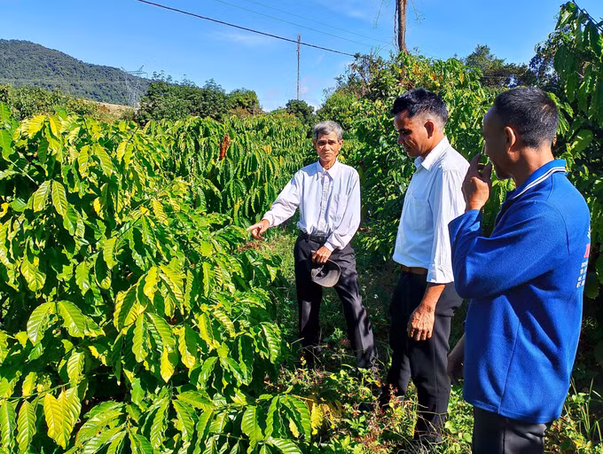 Già làng A Hùng - “Cánh tay nối dài” của chính quyền trong thực hiện chính sách dân tộc ảnh 2