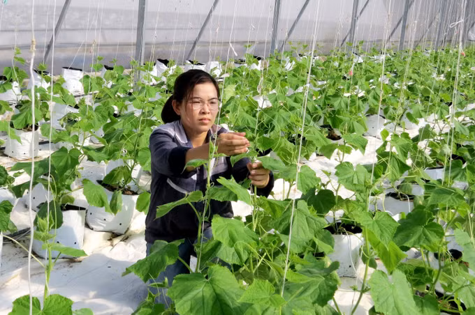 “Đòn bẩy” thúc đẩy phục hồi và phát triển kinh tế - xã hội ảnh 2
