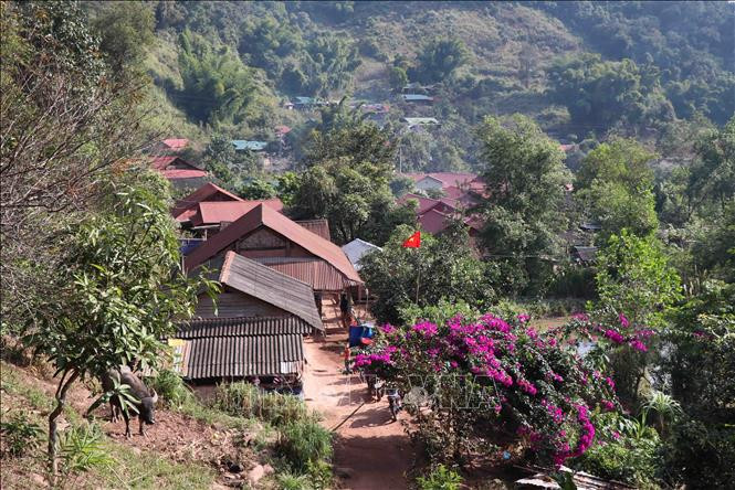 Một góc bản làng Tả Cố Khừ (xã Sín Thầu, huyện Mường Nhé, Điện Biên). Để đón Tết cổ truyền, trước đó nhiều ngày, cộng đồng dân bản đã dọn dẹp, trang trí nhà cửa, bản làng thêm sạch đẹp, khang trang. Ảnh: Xuân Tiến – TTXVN Vui Tết cổ truyền Hồ Sự Chà của dân tộc Hà Nhì nơi cực Tây của Tổ quốc ảnh 1