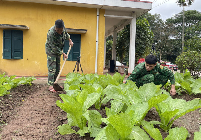 Các cán bộ, chiến sỹ Đồn Biên phòng Thanh chăm sóc vườn rau. Ảnh: TTXVN Xuân về trên những nẻo đường biên giới tỉnh Quảng Trị ảnh 4