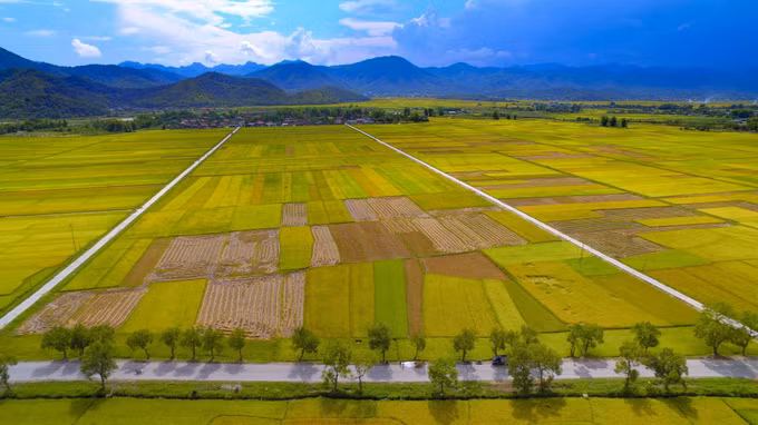 Mở rộng hạn mức nhận chuyển nhượng quyền sử dụng đất nông nghiệp ảnh 1