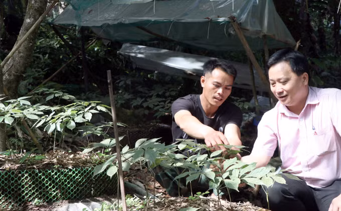 Thay đổi nếp nghĩ, cách làm, người Xơ Đăng vững tin hướng đến tương lai ảnh 1