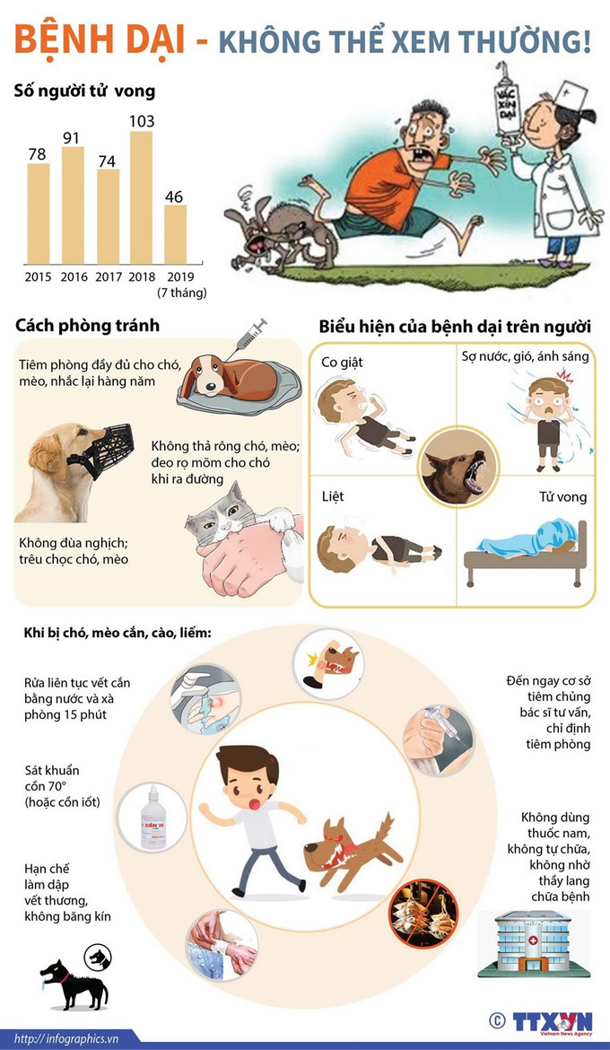 Bình Phước: Cảnh báo bệnh dại có nguy cơ lan rộng ảnh 2