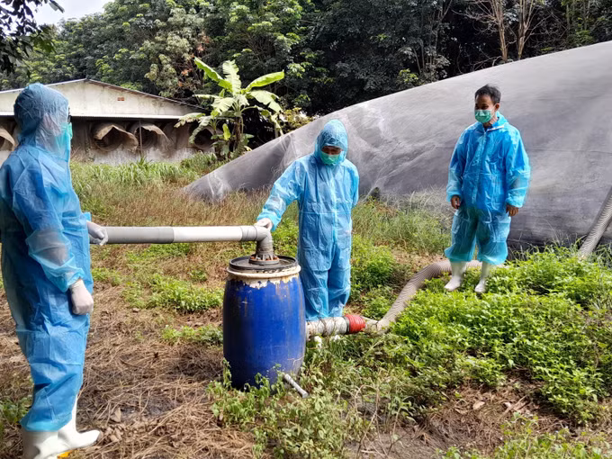 Bịnh Phước: Tăng khả năng cạnh tranh, tạo sản phẩm chăn nuôi an toàn ảnh 1