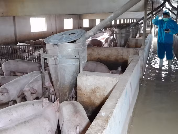 Bịnh Phước: Tăng khả năng cạnh tranh, tạo sản phẩm chăn nuôi an toàn ảnh 4