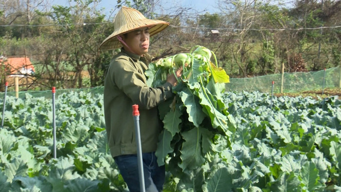 Nông dân Lai Châu rộn ràng khí thế sản xuất đầu Xuân. Ảnh: Nguyễn Oanh-TTXVN. Nông dân Lai Châu khẩn trương xuống đồng gieo cấy lúa Xuân ảnh 3