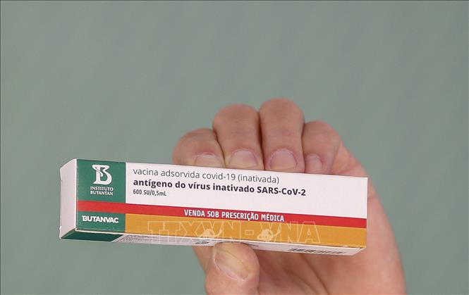 Vaccine Butanvac ngừa COVID-19 được giới thiệu tại Sao Paulo, Brazil, ngày 26/3/2021. Ảnh: AFP/TTXVN Vaccine kết hợp phòng cúm và COVID-19 của Brazil thử nghiệm thành công trên động vật ảnh 1