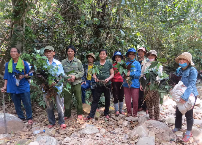 Hội thảo đẩy mạnh hoạt động bảo tồn sinh học, bảo vệ môi trường bền vững ảnh 2