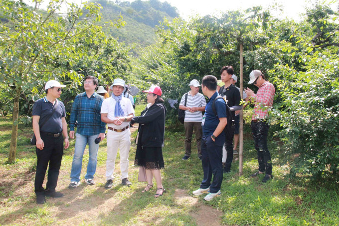Các đại biểu khảo sát, đánh giá chất lượng một số điểm đến tại Khu du lịch quốc gia Mộc Châu. Ảnh: Quang Quyết-TTXVN Sơn La liên kết phát huy giá trị Điểm đến thiên nhiên hàng đầu thế giới ảnh 1