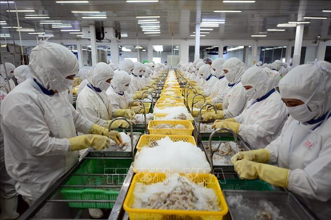 Tổng sản phẩm trong nước (GDP) quý II/2021 ước tính tăng 6,61% so với cùng kỳ năm trước. Ảnh: Phan Tuấn Anh - TTXVN Từ 1/7 sẽ tổng điều tra kinh tế năm 2021 giai đoạn II ảnh 1