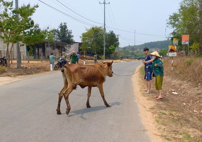 Kon Tum hỗ trợ cho các hộ dân ở vùng biên phát triển kinh tế ảnh 3
