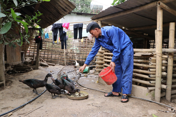 Tỉ lệ hộ nghèo ở xã Bum Tở, huyện Mường Tè lên tới 87,8%. Ảnh: Nguyễn Oanh-TTXVN Khó khăn trong xây dựng nông thôn mới nơi biên giới Mường Tè ảnh 5