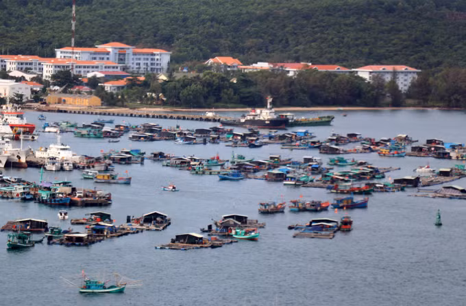 Nông nghiệp, nông dân, nông thôn ở Kiên Giang (Bài 1) ảnh 1