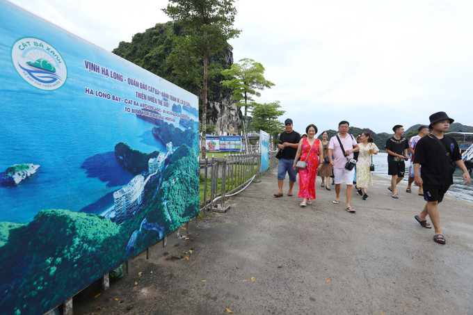 Cát Bà phát triển du lịch "xanh" biển đảo ảnh 11