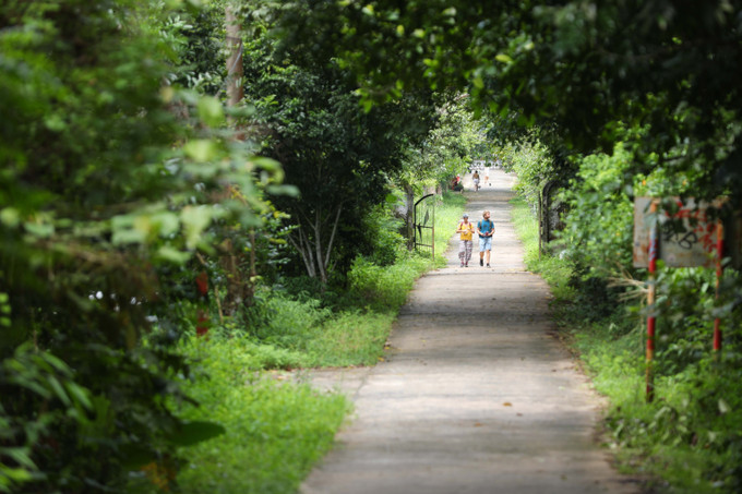 Cát Bà phát triển du lịch "xanh" biển đảo ảnh 8