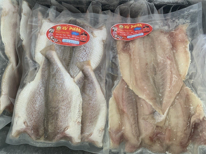 Sản phẩm cá đù một nắng của Hộ kinh doanh Xứ Phan (phường Đô Vinh, thành phố Phan Rang – Tháp Chàm). Ảnh: TTXVN Ninh Thuận: Phong phú hàng hải sản khô cung ứng cho Tết ảnh 1