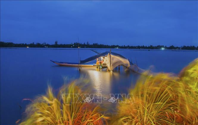 Cuộc sống mùa nước nổi ở Hậu Giang cũng không kém phần hấp dẫn. Ảnh: Duy Khương - TTXVN Hậu Giang mùa nước nổi ảnh 8