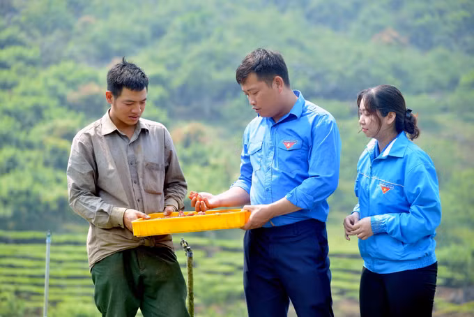 Mô hình trồng dâu tây của anh Phạm Đức Anh truyền cảm hứng cho nhiều thanh niên phát triển kinh tế ảnh 4