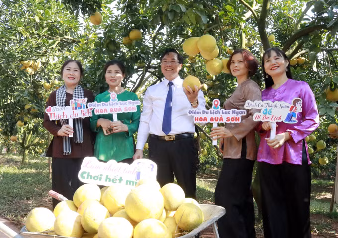 Anh Nguyễn Văn Hữu làm giàu từ cam, bưởi trên đất vải thiều ảnh 2
