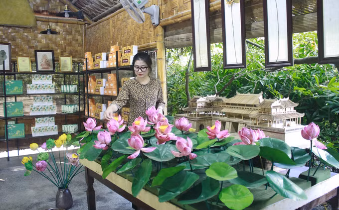 Ninh Bình: Độc đáo sản phẩm du lịch từ sen ảnh 1