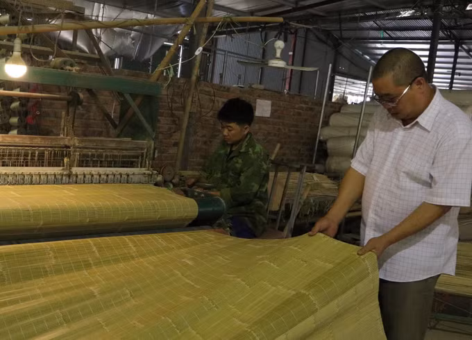 Nâng cao giá trị cho cây trúc sào Cao Bằng ảnh 1