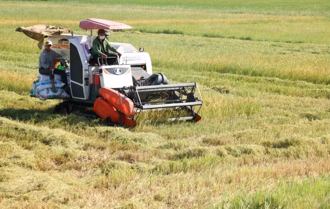 Nghị quyết 19-NQ/TW: Hướng tới hoàn thiện xây dựng nông thôn mới kiểu mẫu ảnh 1