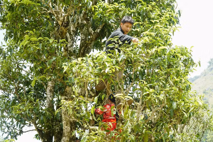 Thu hẹp khoảng cách phát triển (Bài 1) ảnh 2