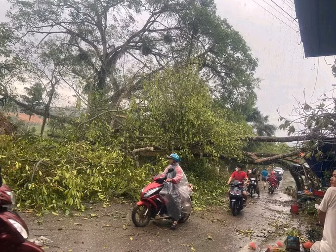 Mưa to kèm dông lốc gây nhiều thiệt hại tại Tuyên Quang ảnh 1
