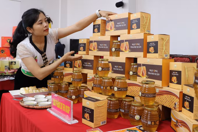 Hướng đi tiềm năng cho đồng bào vùng cao Lai Châu ảnh 3