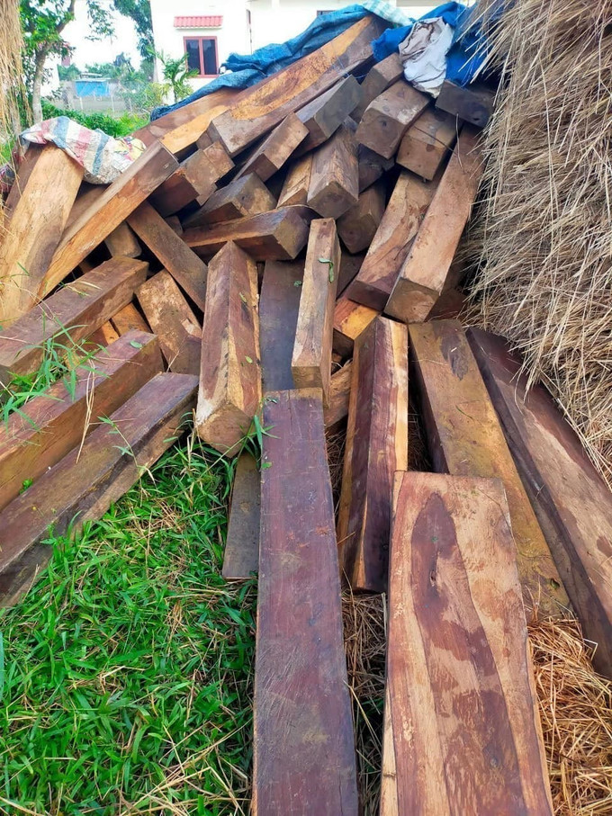 Số gỗ không có giấy tờ hợp pháp được cất giấu bên cây rơm. Ảnh: TTXVN Quảng Ngãi phát hiện hơn 100 phách gỗ ké không có giấy tờ hợp pháp cất giấu ở nhà dân ảnh 1