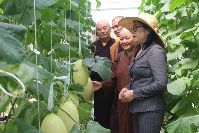 Các đại biểu tham quan trang trại nông nghiệp công nghệ cao. Ảnh: Hồng Hiếu - TTXVN Bình Thuận tổ chức gặp mặt các vị chức sắc các tôn giáo, dân tộc, người tiêu biểu ảnh 3