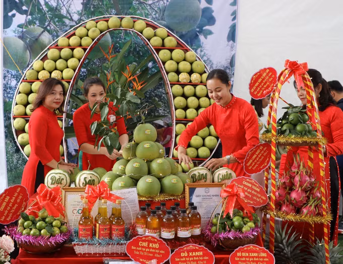 Tìm đường xuất ngoại cho bưởi đặc sản Đoan Hùng ảnh 1