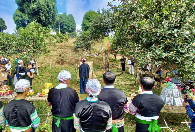 Lễ hội truyền thống của người Mông Suối Giàng nhằm tôn vinh vùng chè Shan tuyết. Ảnh: Tuấn Anh - TTXVN Thu hẹp khoảng cách phát triển (Bài 2) ảnh 1