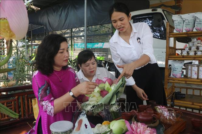 Huyện Nam Đàn sẽ nghiên cứu lựa chọn sản phẩm chiến lược từ sen để đầu tư phát triển kết hợp với du lịch sinh thái để tên gọi Làng Sen. Ảnh: Bích Huệ - TTXVN Phát triển cây sen gắn với du lịch ở xã Kim Liên ảnh 6