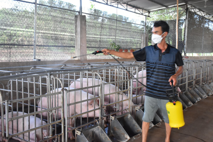 Ông Lê Trung Lập, ở ấp Suối Lúp, xã Bình Ba, huyện Châu Đức (tỉnh Bà Rịa - Vũng Tàu) phun xịt sát khuẩn chuồng trại. Ảnh: Hoàng Nhị-TTXVN Phát triển kinh tế vùng Đông Nam Bộ: Để sản sản phẩm chăn nuôi vươn tầm thế giới ảnh 1
