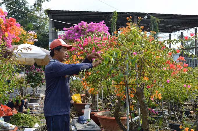 Đồng Tháp công nhận Làng nghề hoa giấy ấp Tân Thuận A - Tân Thuận B ảnh 1