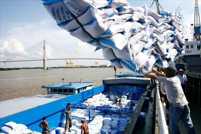 Với việc EVFTA được thông qua, EU dành cho Việt Nam một hạn mức 80.000 tấn gạo mỗi năm với mức thuế 0%, xuất khẩu gạo vào EU có thể tăng gấp 4 lần. Ảnh: TTXVN 10 sự kiện kinh tế Việt Nam nổi bật năm 2020 ảnh 1
