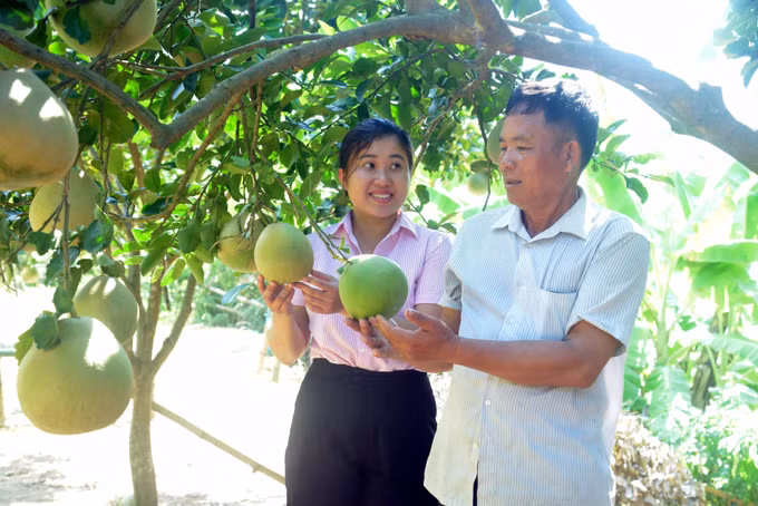 Bộ trưởng Lê Minh Hoan: Xây dựng hình ảnh nông thôn mới với sự khác biệt của mỗi địa phương ảnh 1