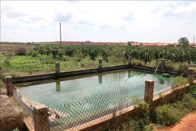Ao trữ nước của người dân xã Tiến Thành, thành phố Phan Thiết. Ảnh: Nguyễn Thanh - TTXVN Nông dân Bình Thuận đào ao, xây bể tích trữ nước để ứng phó với hạn hán ảnh 3