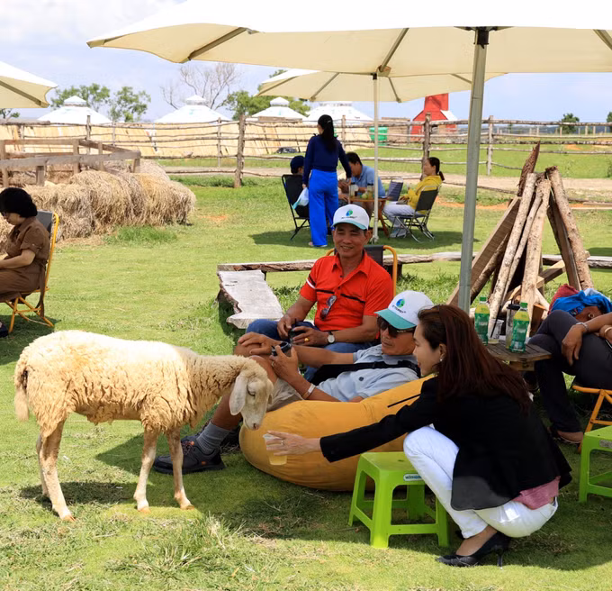 Phát triển xanh - “chìa khóa” nâng tầm du lịch Bình Thuận (Bài 1) ảnh 1