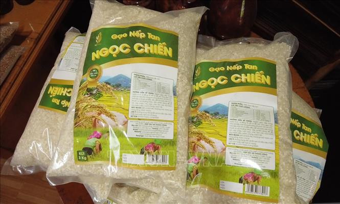 Sản phẩm gạo nếp tan Ngọc Chiến, huyện Mường La, tỉnh Sơn La. Ảnh: Nguyễn Cường - TTXVN. Nâng tầm thương hiệu gạo nếp tan Ngọc Chiến ảnh 1