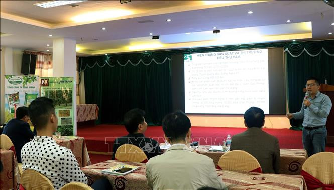 Quang cảnh diễn đàn. Ảnh: Công Tường-TTXVN Ứng dụng truy xuất nguồn gốc với sản phẩm cam ở Bắc Trung Bộ ảnh 1