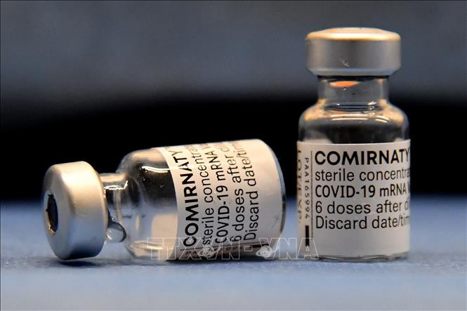 Vaccine ngừa COVID-19 của hãng dược Pfizer-BioNTech. Ảnh: AFP/ TTXVN Mỹ cảnh báo người chưa tiêm phòng có nguy cơ nhập viện cao gấp gần 30 lần ảnh 2