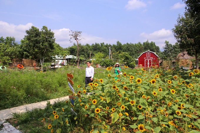 Du khách dạo chơi trong các vườn hoa tại nông trại An Phú Farm. Ảnh: Trần Lê Lâm - TTXVN Du lịch và nông nghiệp Đà Nẵng đồng hành phát triển ảnh 5
