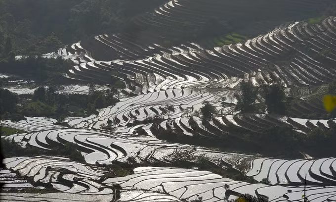 Ngây ngất ruộng bậc thang Sa Pa mùa nước đổ ảnh 3