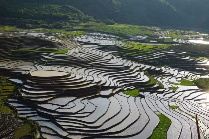 Ngây ngất ruộng bậc thang Sa Pa mùa nước đổ ảnh 6