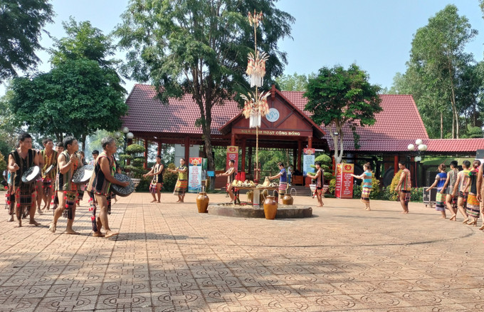 Mừng lúa mới là văn hóa quan trọng trong đời sống tâm linh của người S'tiêng. Ảnh: K GỬIH -TTXVN Phục dựng Lễ hội mừng lúa mới của dân tộc S’tiêng ảnh 2